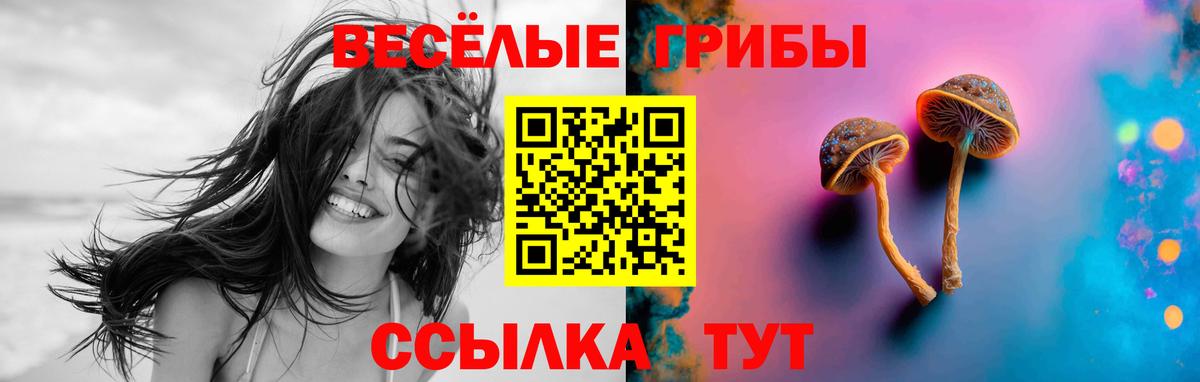 Псилоцибиновые грибы Psilocybine cubensis  Вход с VPN  Анжеро-Судженск 